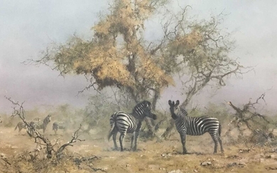 David Shepherd (1931-2017) signed colour print in glazed frame - Zebras and Colony Weavers