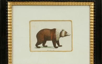 GERMAN LITHOGRAPH ON PAPER, "SIBERIAN BEAR"