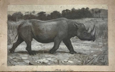 Harry Dixon (1861-1942) Black rhinoceros, oil on card, 19.5 x 32.5cm (image, unframed)