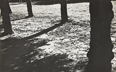ILSE BING (1899-1998) Blérancourt Tree Shadows.