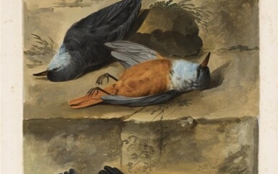 Jacob Xavier Vermoelen (1714-1784), stilleven met dode vogels op een stenen...