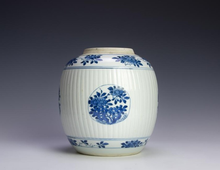 Kangxi Blue & White Flowers Jar, 17th Century