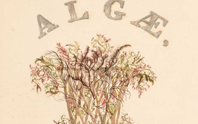 Pressed Algae. Specimens of Algae, or Submersed Plants, Prepared by Eliza A. Jordan, Brooklyn, 1848