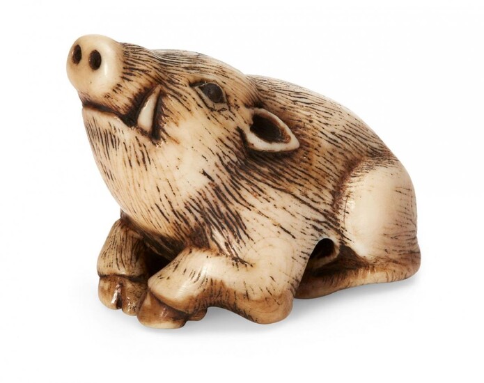 Property of a Gentleman (lots 36-85) A Japanese Ivory netsuke, 18th century, carved as a recumbent boar, Kyoto school, lying with its snout raised, eyes inlaid with dark horn, 4cm long