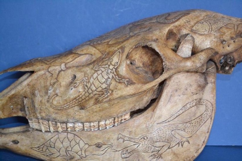 Rare Large Antique Dyak Tribal Carved Horse Skull /Jaw