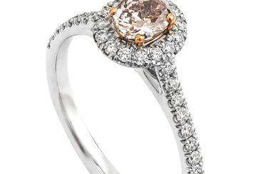 0.74 tcw Diamond Ring - Diamond - White gold - Ring