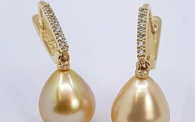 10mm Deep Golden South Sea Pearls - 0.11Ct - Earrings Yellow gold