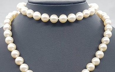 18 kt. White gold - Necklace - 217.00 ct Japanese Akoya pearls 8 mm - Diamonds, Rubys