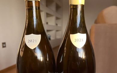 2021 Domaine Paul Pillot; Les Champs Gains & Clos Saint-Jean - Chassagne-Montrachet 1er Cru - 2 Bottles (0.75L)