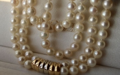 2-strand heavy high quality Necklace (93 gram) with genuine sea/salty Japanese Akoya pearls ø7.2- 7.5mm, very good luster. 750/18kt. Gold buckle. Excellent state.