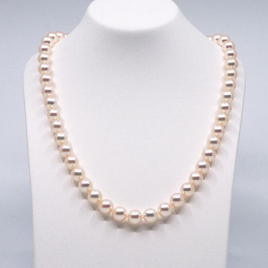 8-8,5 mm Akoya pearls, Silver - Necklace Pearls