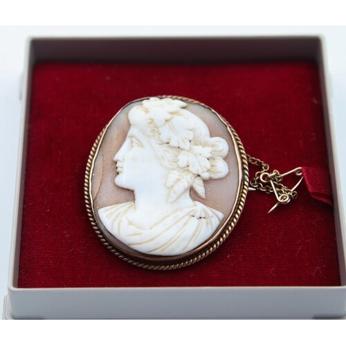 9 Carat Yellow Gold Mounted Cameo Brooch Attractively Detail...