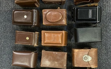 A Large selection of TLR Cases.