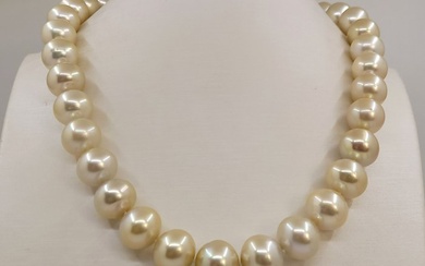 ALGT Certified Golden South Sea Pearls - 11.2x14.6mm - Necklace
