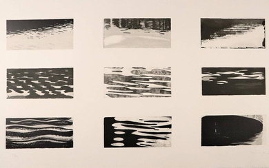 Andriesse, J. (b.1950). Waterland I. Nine lithographs printed...