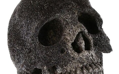 Asian carving - Herpetocetus - A human-shaped skull (height c. 105 mm.)