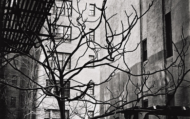 BRETT WESTON (1911-1993) Manhattan Courtyard. Silver print, the image measuring 19⅛x15¼ inches (48.6x38.7...