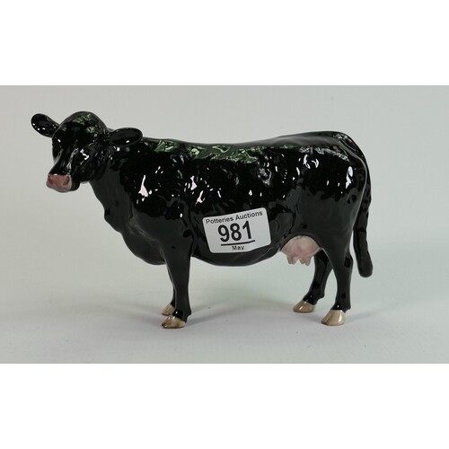 Beswick Galloway cow: BCC special, boxed