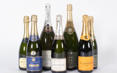 Collection champagne (7)