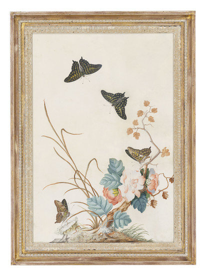 French School, 18th century, Three studies of flowers, butterflies and fruit