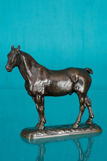 Horse cob Bronze signed and stamped Susse Frères H. 23...