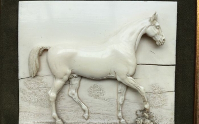 Horse plaque In a frame - Victorian - Ivory