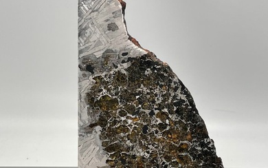 Large XXL SEYMCHAN Meteorite Polished HIGH QUALITY - 275 g