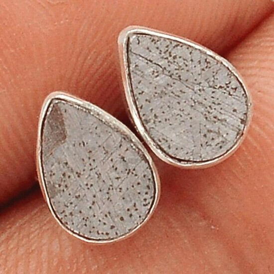 Muonionalusta Meteorite Sterling Silver Earrings