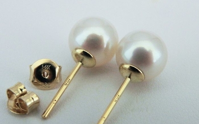 NO RESERVE PRICE - Akoya pearls, Premium 8 mm, 14 kt. Yellow Gold - Earrings