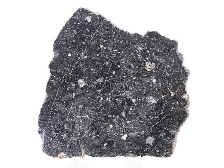 NWA 11788 Lunar Meteorite Slice