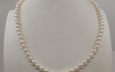 Necklace - 5.5x6mm Bright Akoya pearls