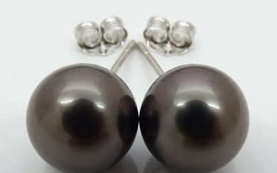 No Reserve Price - Tahitian Pearls, Rikitea Pearls, Aubergine Midnight, Round, 9.31, 9.35 mm - Stud earrings - 14 kt. White gold