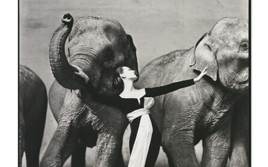 Richard Avedon (1923-2004), Dovima with Elephants, Evening Dress by Dior, Cirque d'Hiver, Paris, 1955