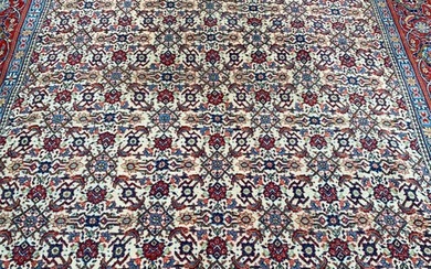 Sarouck - Carpet - 331 cm - 229 cm