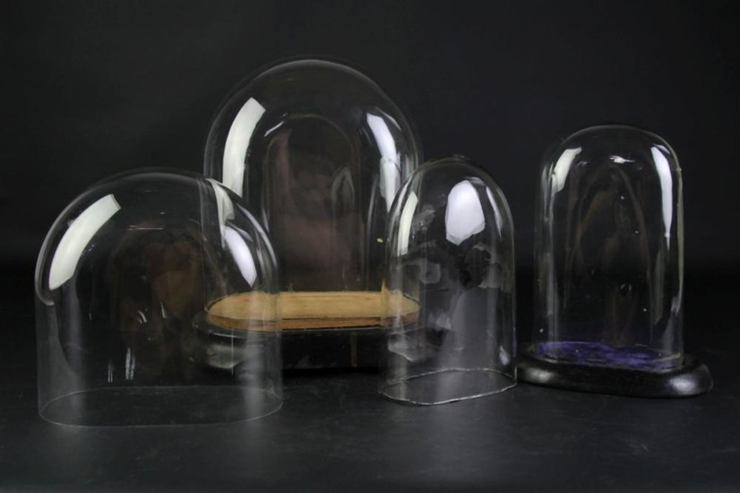 Set Of Four Glass Domes (2 With Bases)