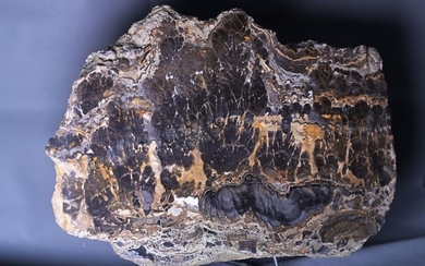 Stromatolite - great fossil - calcium deposits from cyanobacteria - 36×24×11 cm