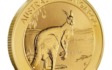 2013 1 oz Australian Gold