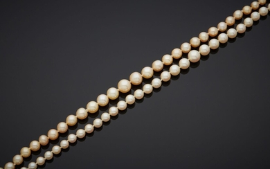 Deux colliers de perles de culture en chute,... - Lot 582 - Crait + Müller