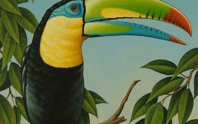 Fred Aris, British 1932-1995- Toucan; oil on panel, signed upper left, 46 x 35.5 cm (ARR) Provenance: with the Portal Gallery, London, according to the label attached to the reverse.