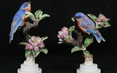 Royal Worcester Pair Blue-Birds