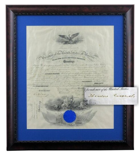 Theodore Roosevelt Signed Naval Commission