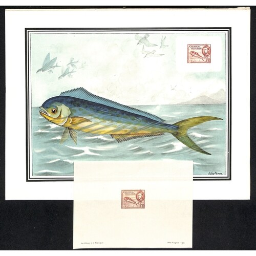 c.1953 Coloured print of a Dolphin Fish with a reproduction ...