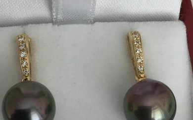 14 kt. Tahitian pearls, 10x11mm - Earrings - Diamonds