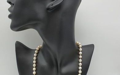 18 kt. Freshwater pearls, Gold - Necklace