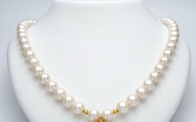 18 kt. Freshwater pearls, Gold, Yellow gold - Necklace with pendant Golden South Sea Pearl