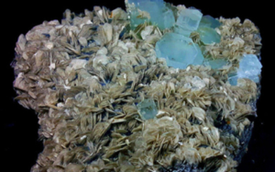 Large cluster of sky blue color Aquamarine with Muscovite on matrix - 20.0 x 16.9 x 7.5 cm - 3325 gm