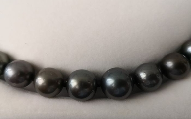 Tahitian pearls - Necklace