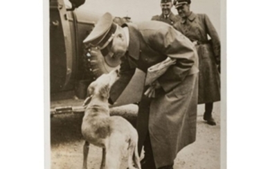 Adolf Hitler - eigenhändig signierte Hoffmann-Fotopostkarte "Ein herrenloser Hund auf den Kampfstraßen Frankreichs"