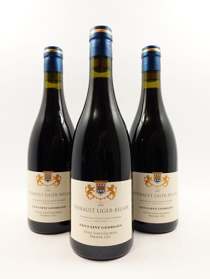 9 bouteilles NUITS SAINT GEORGES 2013 1er cru Les Saint Georges. Thibault Liger Belair