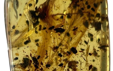 A VERY RARE DINOSAUR FEATHER FOSSIL IN BURMESE AMBER...